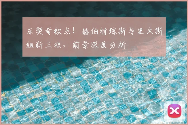 东契奇钦点！赫伯特琼斯与里夫斯组新三核，前景深度分析