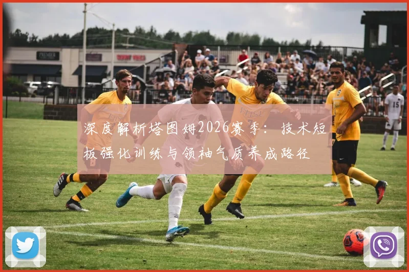 深度解析塔图姆2026赛季：技术短板强化训练与领袖气质养成路径