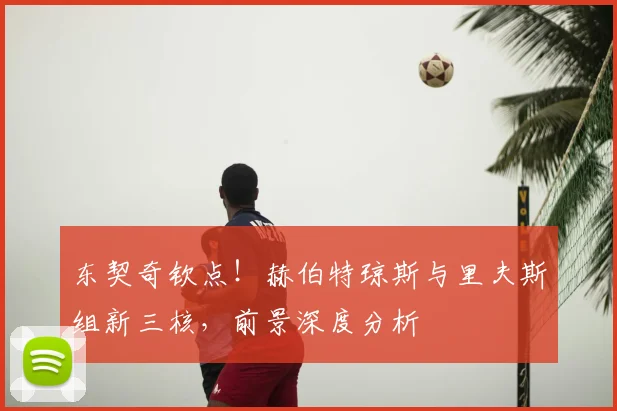 东契奇钦点！赫伯特琼斯与里夫斯组新三核，前景深度分析