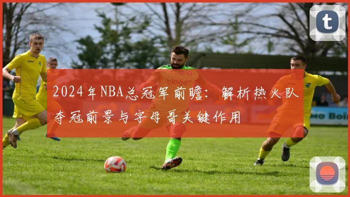 2024年NBA总冠军前瞻：解析热火队夺冠前景与字母哥关键作用